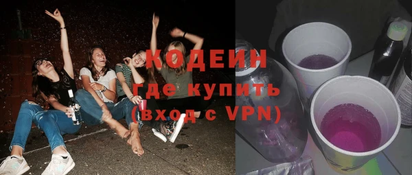гидра Богданович