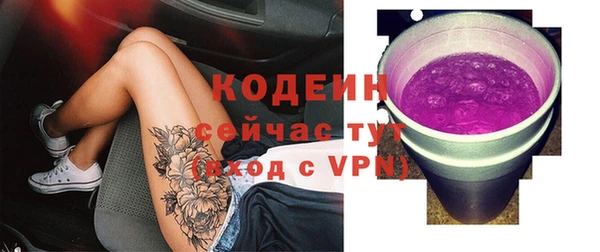 гидра Богданович