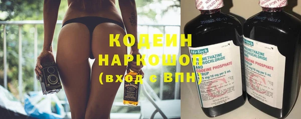 гидра Богданович