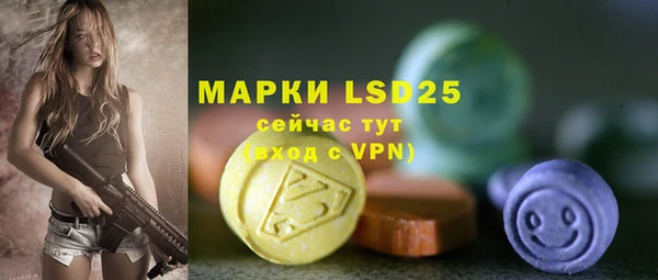 гидра Богданович
