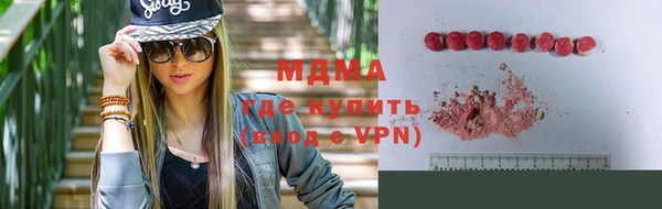 гидра Богданович