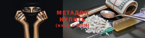 гидра Богданович