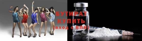 гидра Богданович