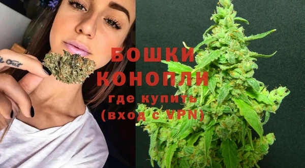 гидра Богданович