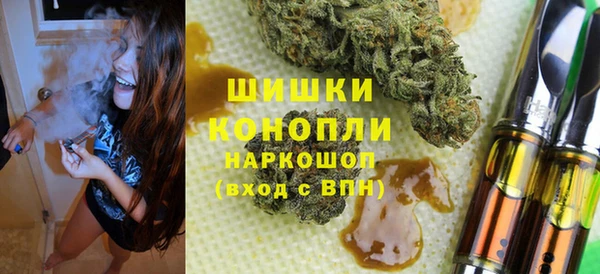 mdpv Богородск