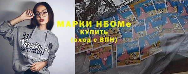 гидра Богданович