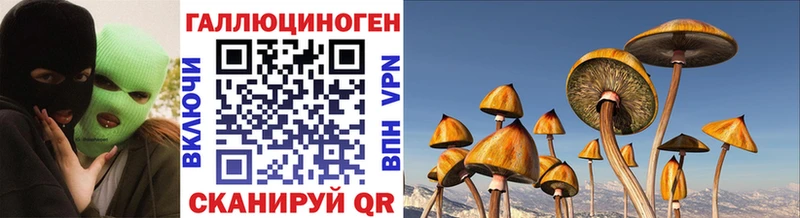 мега ONION  Торжок  Галлюциногенные грибы GOLDEN TEACHER 